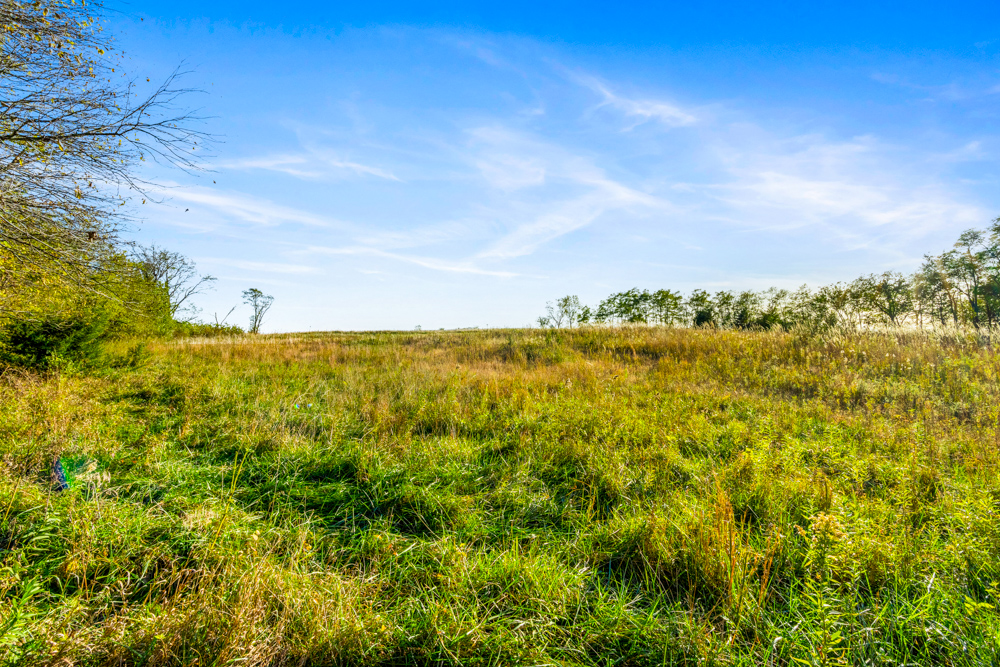 267 +/- Acre Upland Tillable Farm