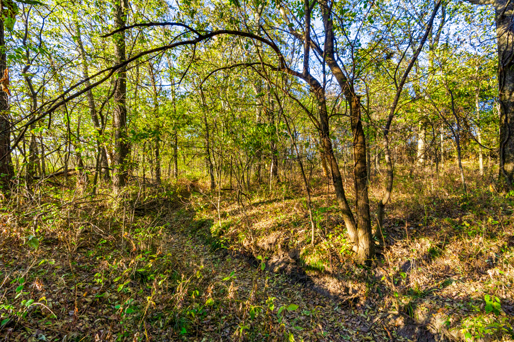 267 +/- Acre Upland Tillable Farm