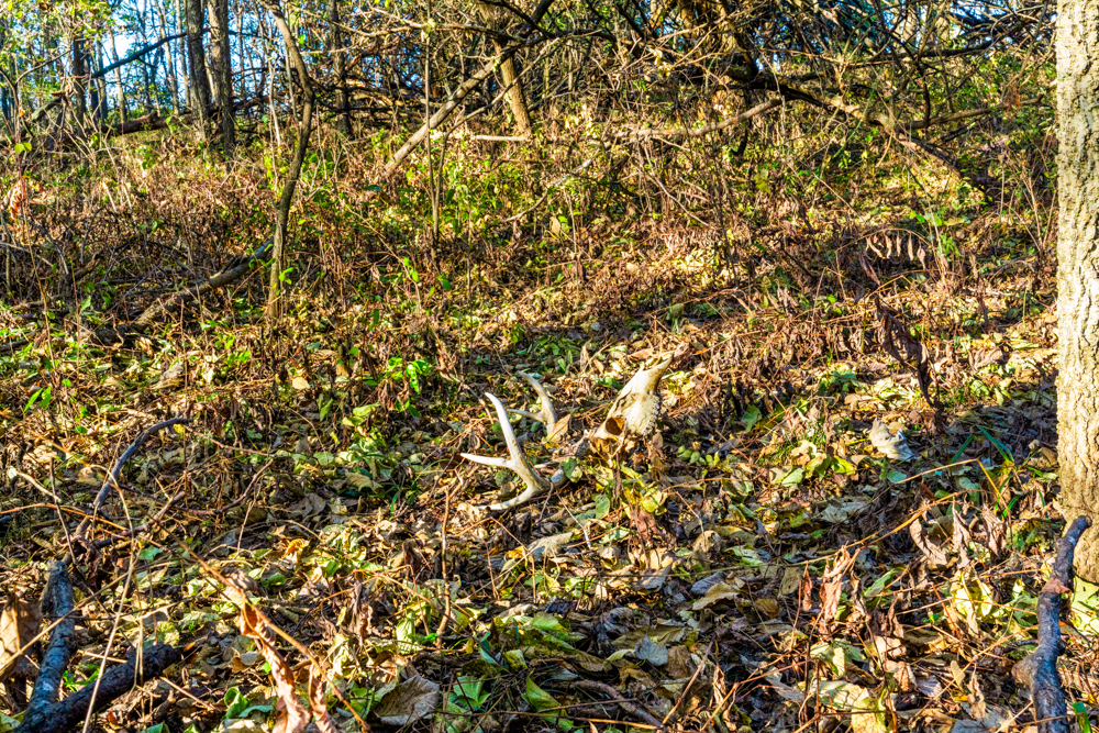 267 +/- Acre Upland Tillable Farm