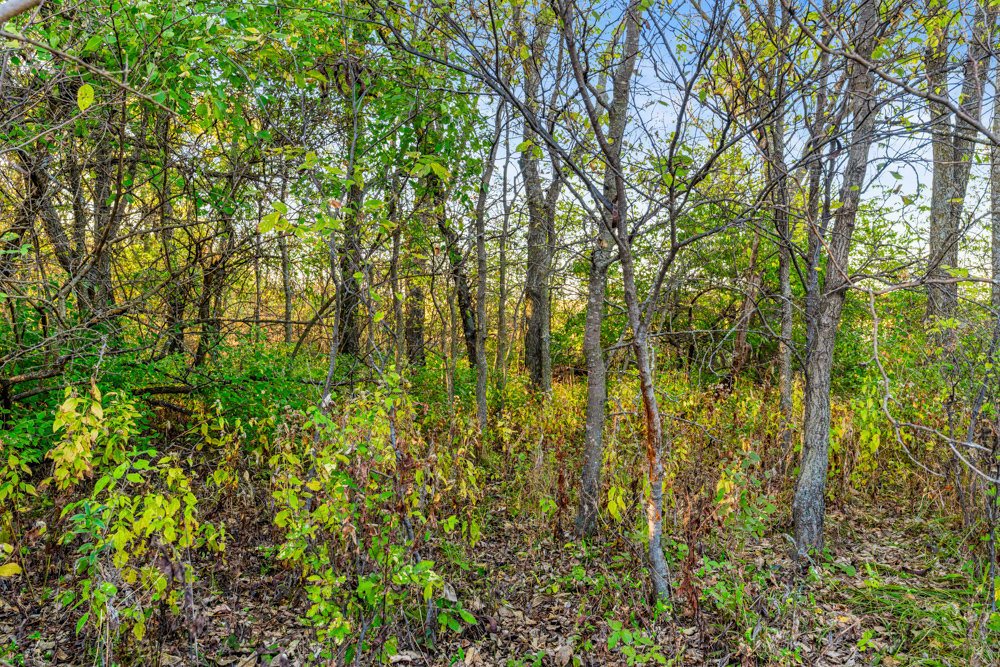 267 +/- Acre Upland Tillable Farm