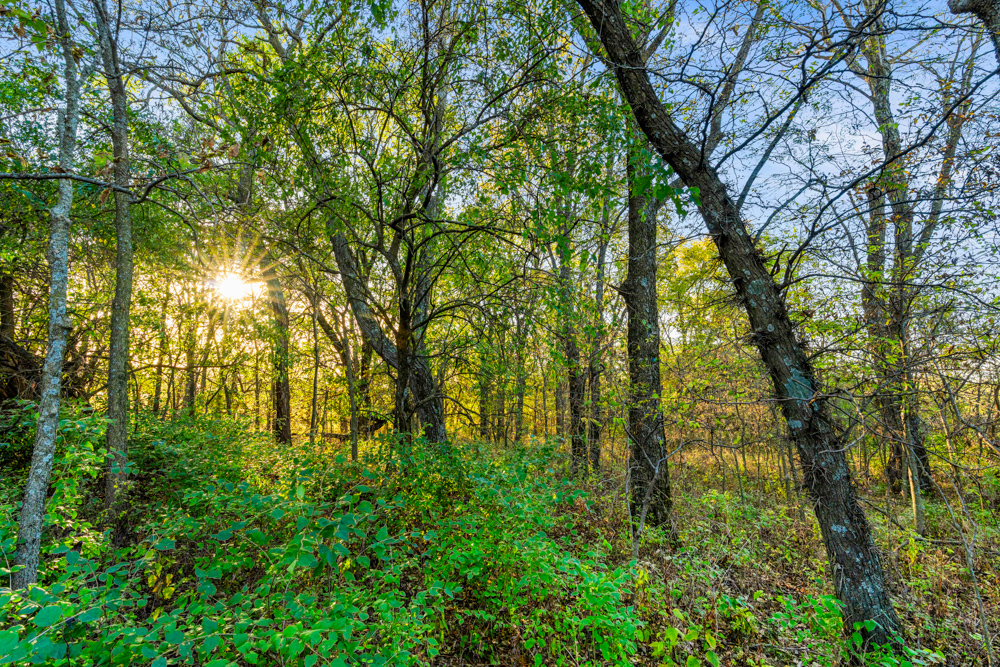 267 +/- Acre Upland Tillable Farm