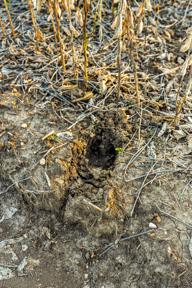 267 +/- Acre Upland Tillable Farm