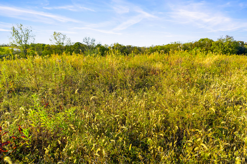 267 +/- Acre Upland Tillable Farm