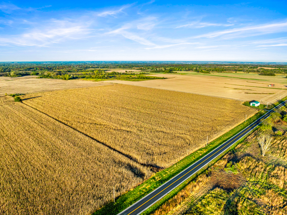 267 +/- Acre Upland Tillable Farm