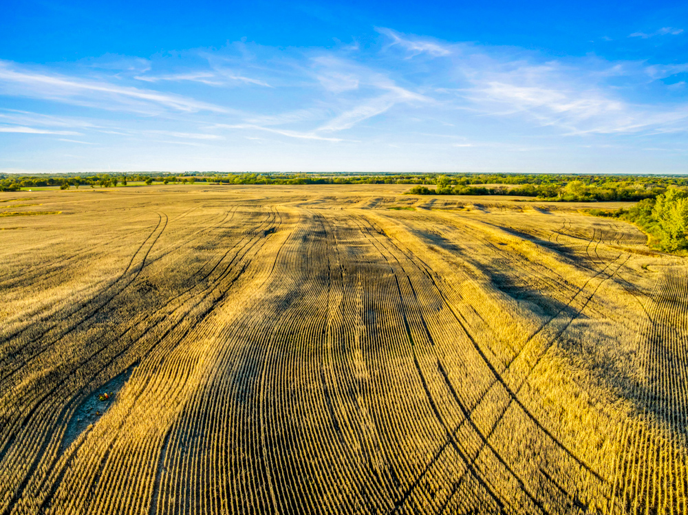 267 +/- Acre Upland Tillable Farm