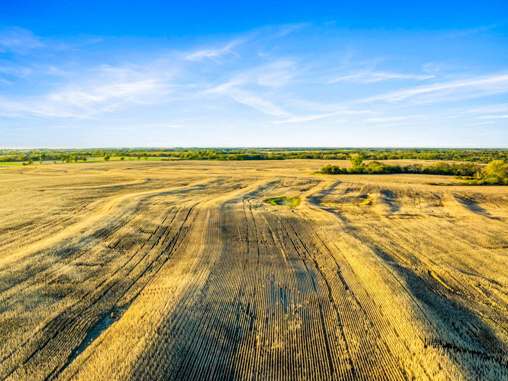 267 +/- Acre Upland Tillable Farm