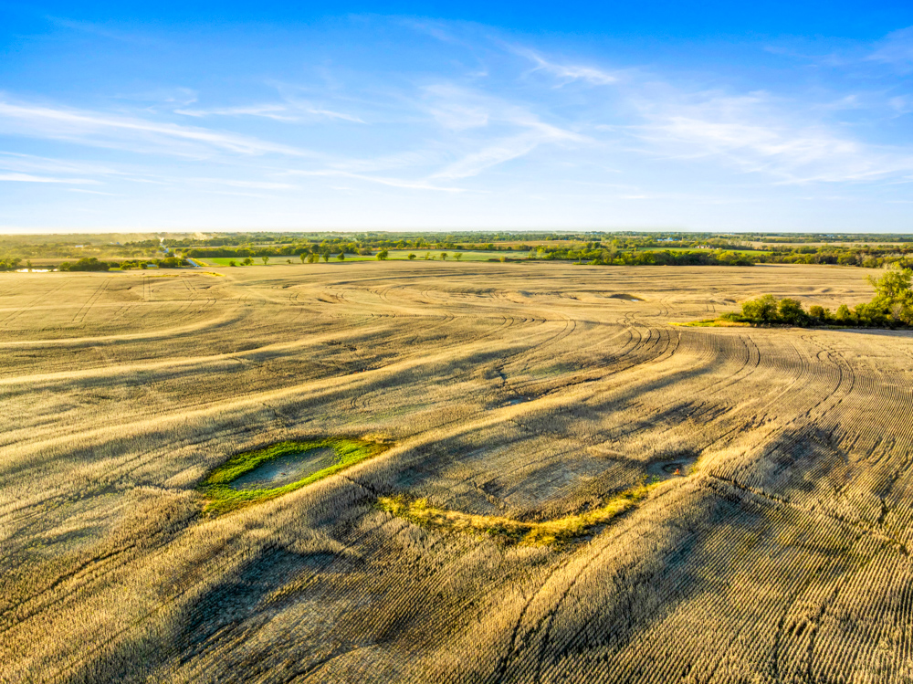 267 +/- Acre Upland Tillable Farm