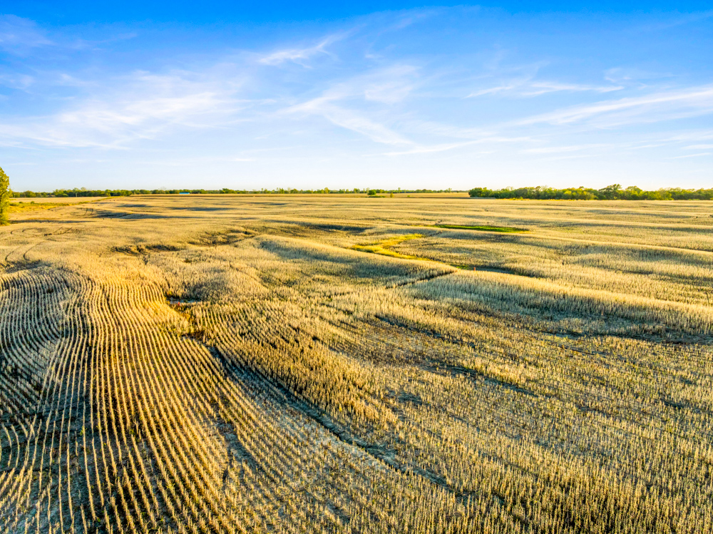 267 +/- Acre Upland Tillable Farm