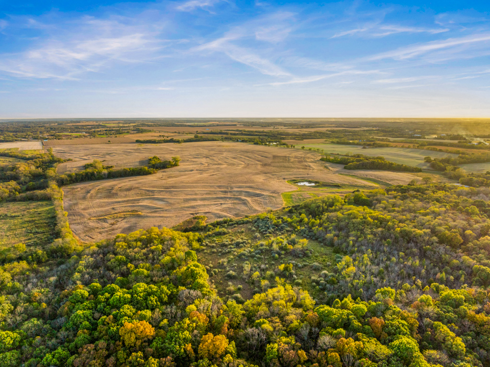 267 +/- Acre Upland Tillable Farm