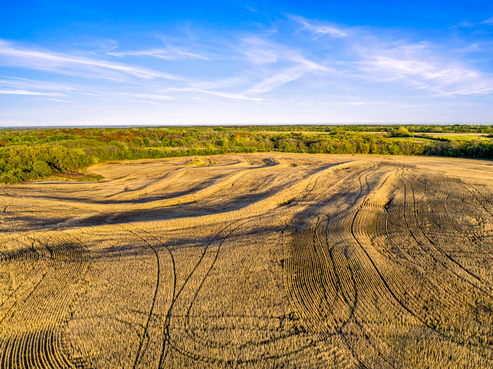 267 +/- Acre Upland Tillable Farm