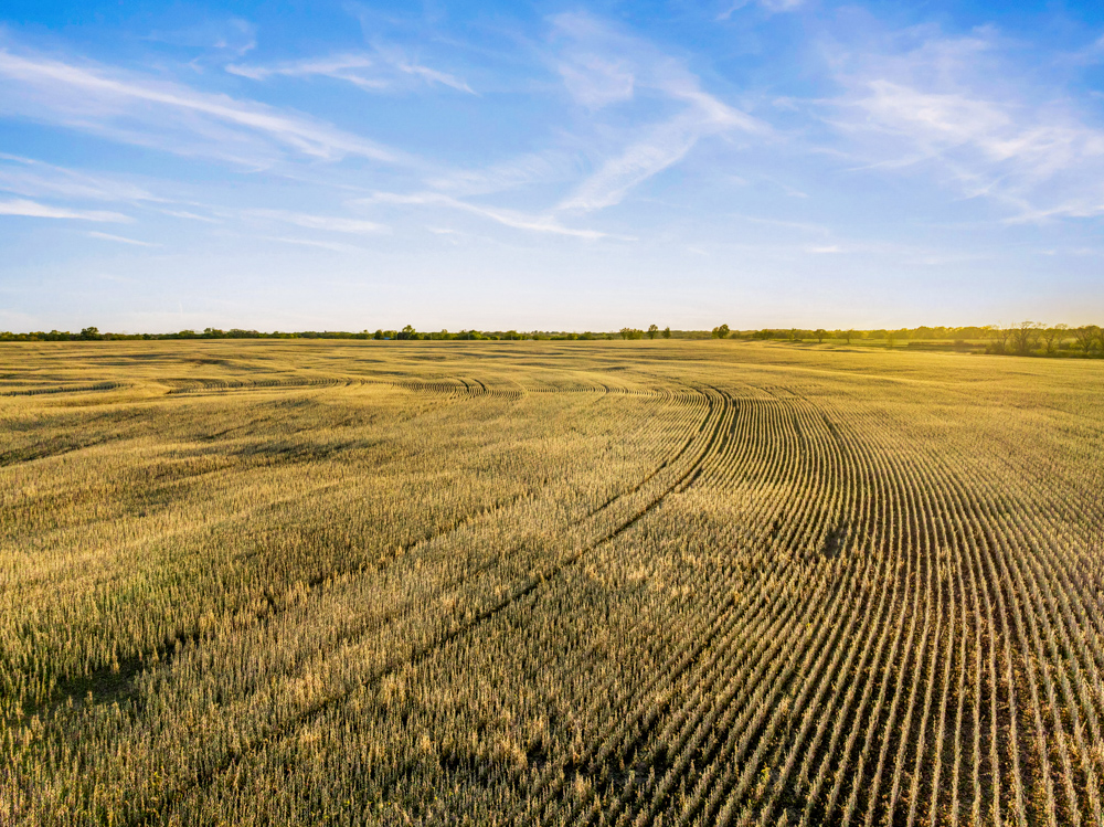 267 +/- Acre Upland Tillable Farm