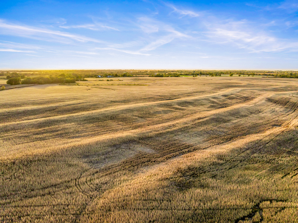 267 +/- Acre Upland Tillable Farm