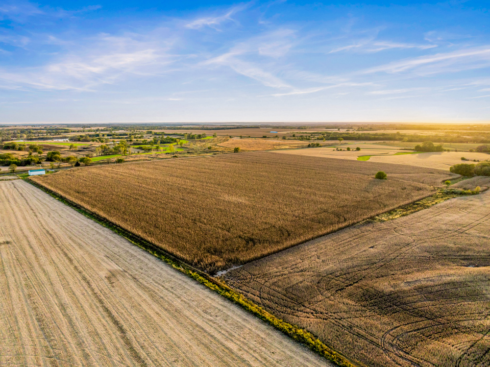 267 +/- Acre Upland Tillable Farm