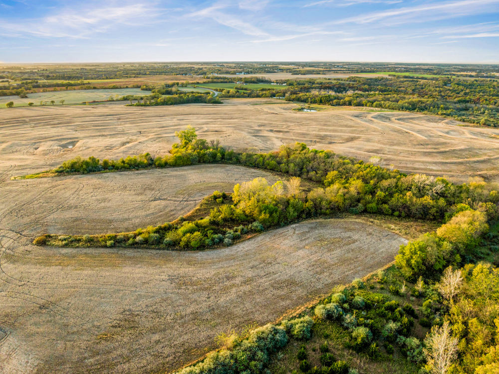 267 +/- Acre Upland Tillable Farm