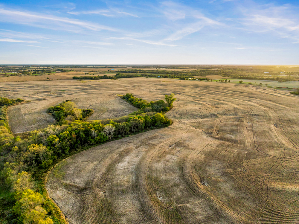 267 +/- Acre Upland Tillable Farm