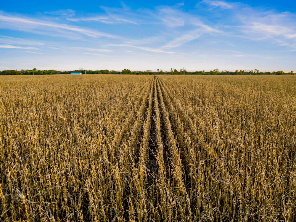 267 +/- Acre Upland Tillable Farm