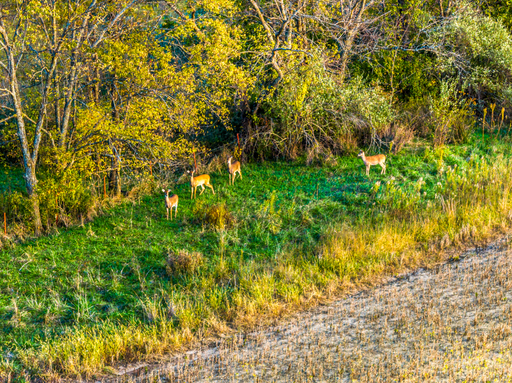 267 +/- Acre Upland Tillable Farm