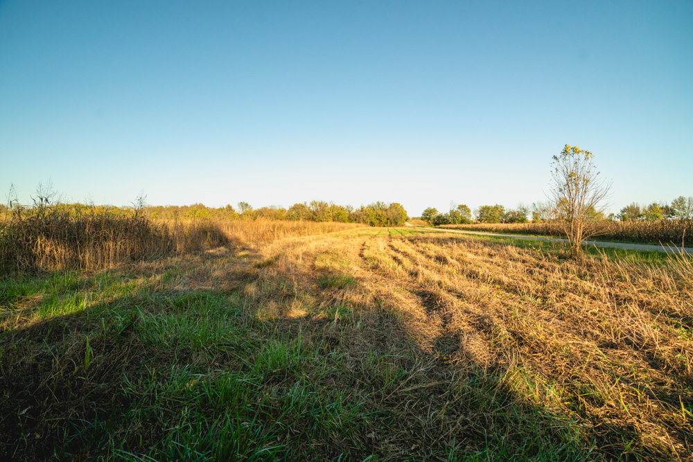 Multi-Use Land with Great Recreational Opportunities