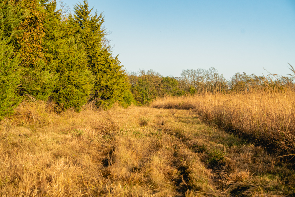 Multi-Use Land with Great Recreational Opportunities