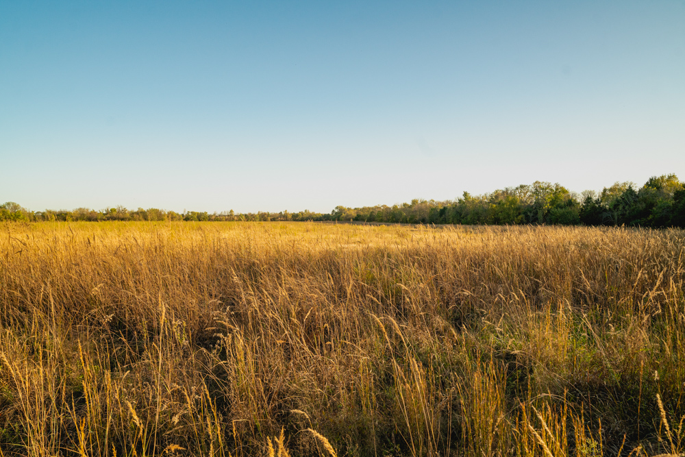 Multi-Use Land with Great Recreational Opportunities