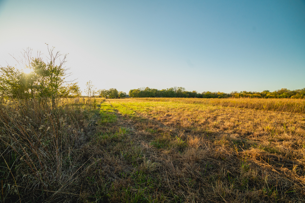 Multi-Use Land with Great Recreational Opportunities