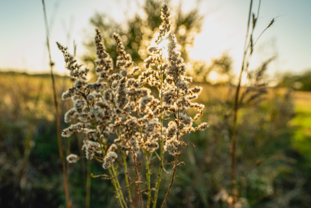 Multi-Use Land with Great Recreational Opportunities