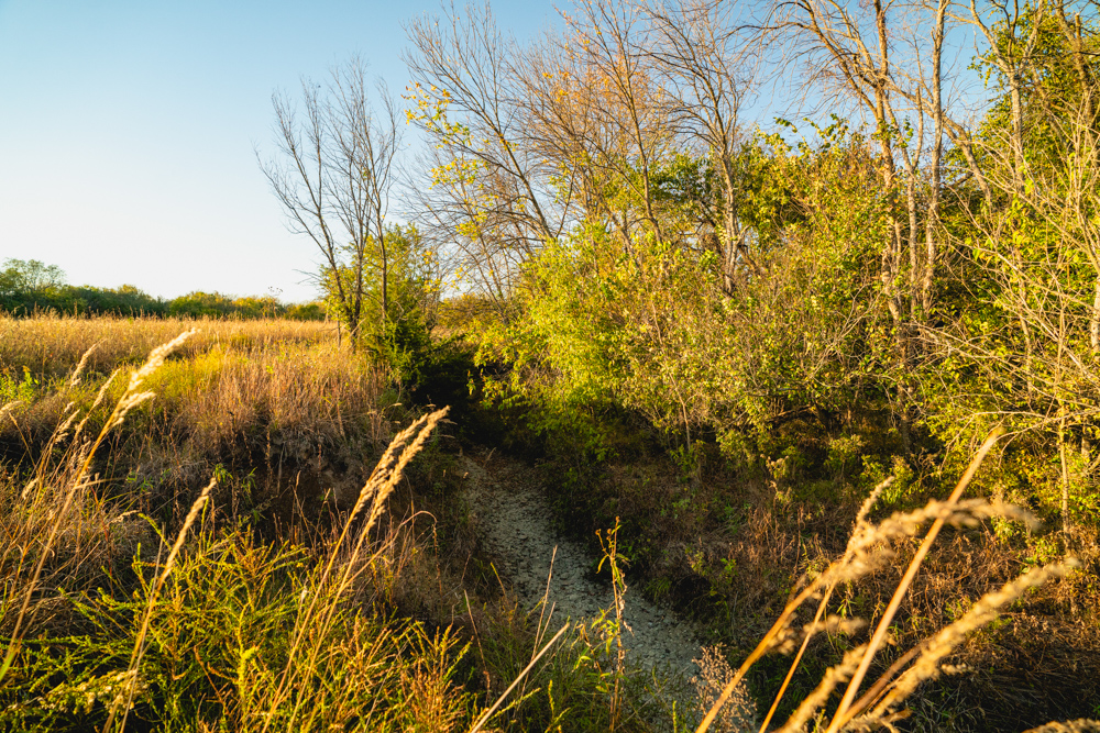 Multi-Use Land with Great Recreational Opportunities