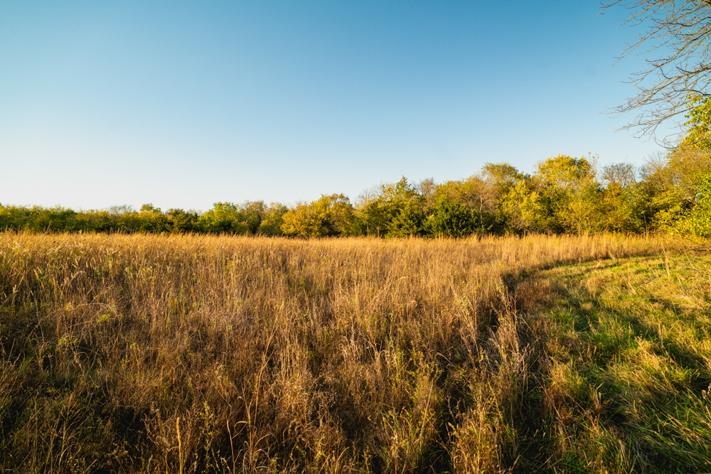 Multi-Use Land with Great Recreational Opportunities