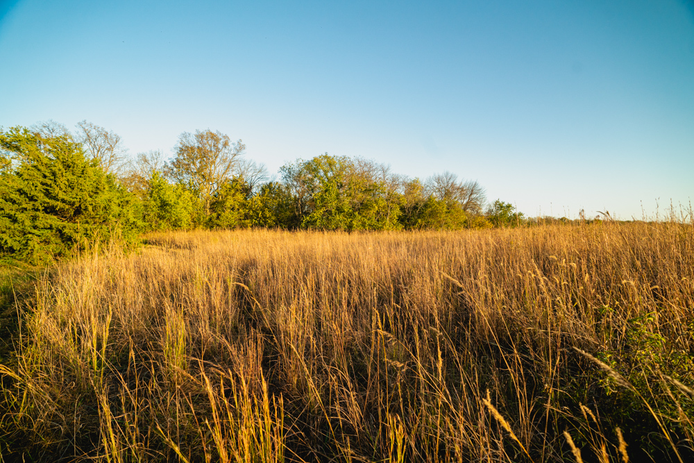 Multi-Use Land with Great Recreational Opportunities