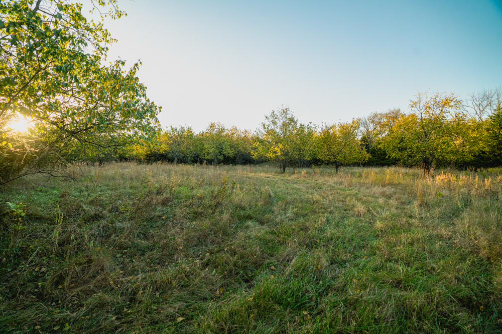 Multi-Use Land with Great Recreational Opportunities