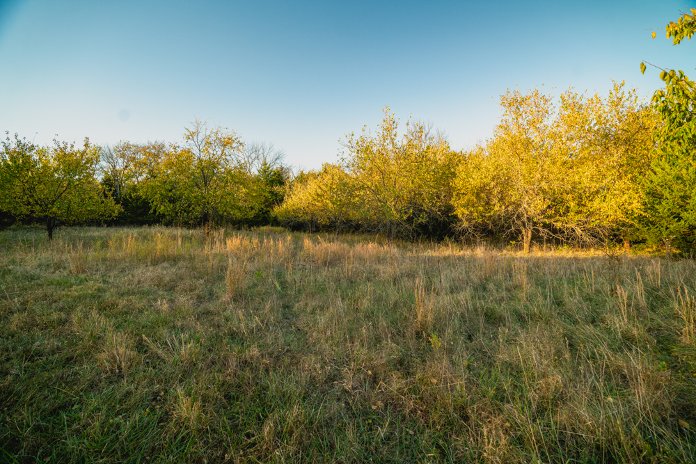 Multi-Use Land with Great Recreational Opportunities