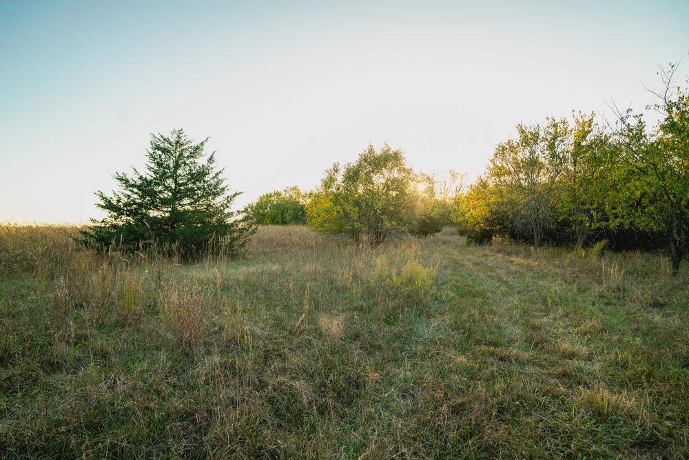 Multi-Use Land with Great Recreational Opportunities