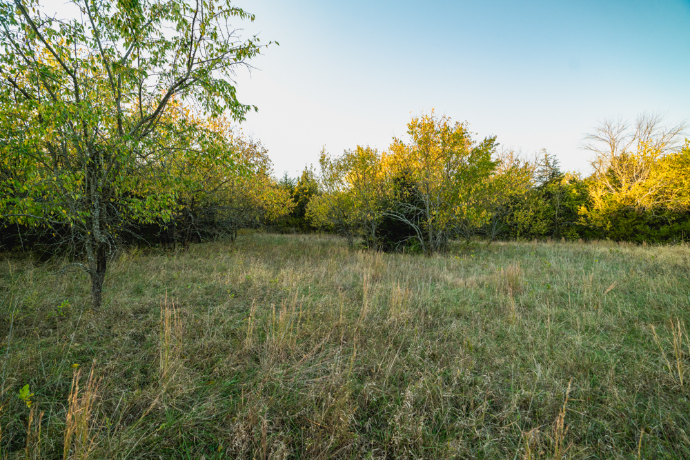 Multi-Use Land with Great Recreational Opportunities