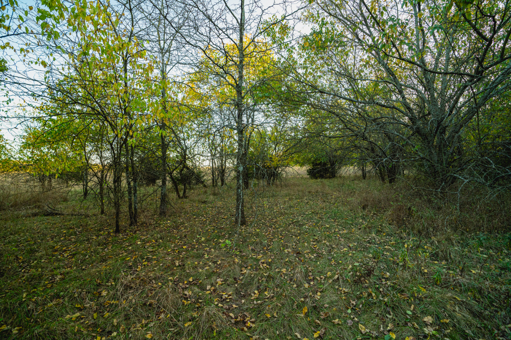 Multi-Use Land with Great Recreational Opportunities