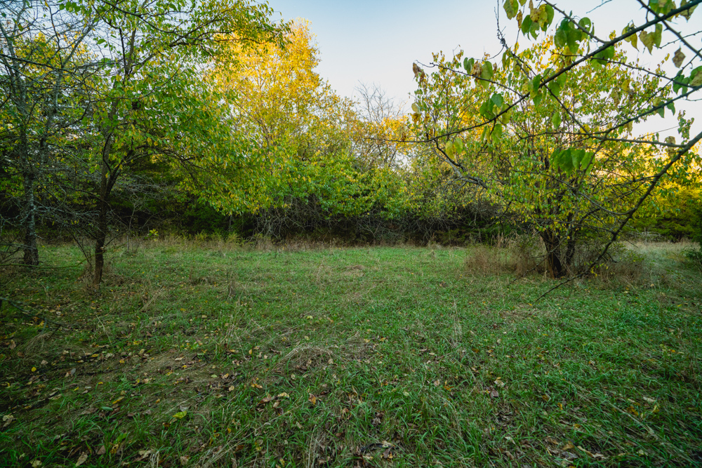 Multi-Use Land with Great Recreational Opportunities