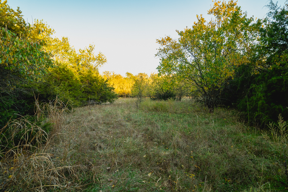 Multi-Use Land with Great Recreational Opportunities