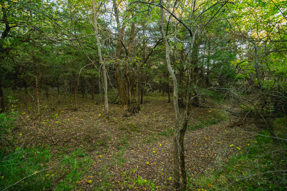 Multi-Use Land with Great Recreational Opportunities