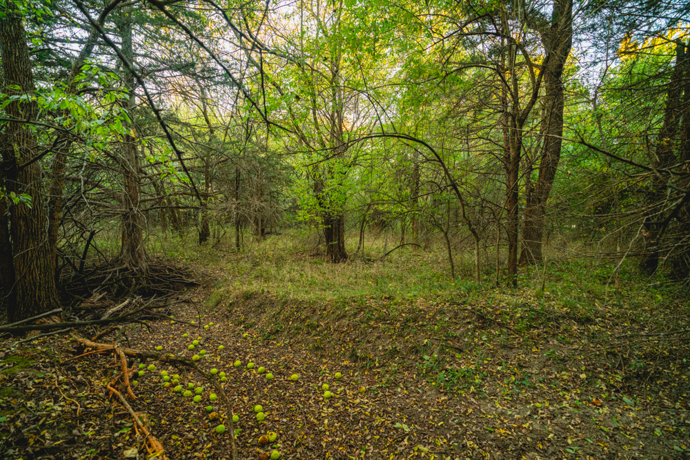 Multi-Use Land with Great Recreational Opportunities