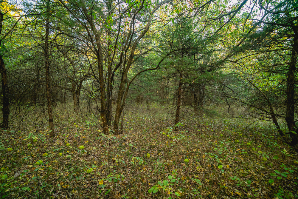 Multi-Use Land with Great Recreational Opportunities