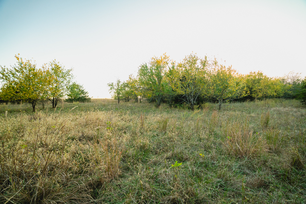 Multi-Use Land with Great Recreational Opportunities