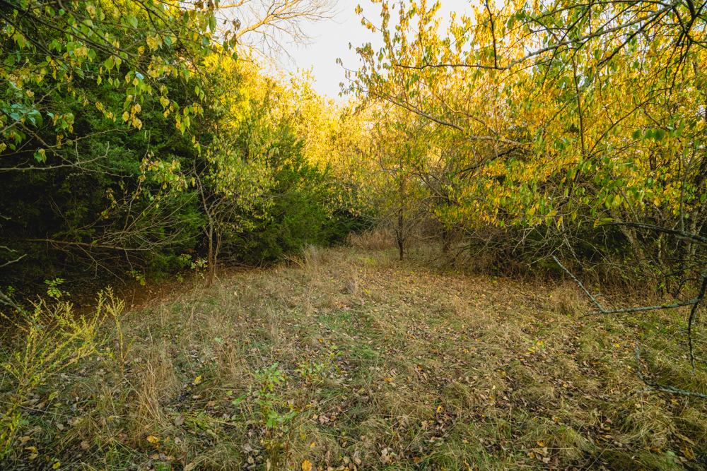 Multi-Use Land with Great Recreational Opportunities