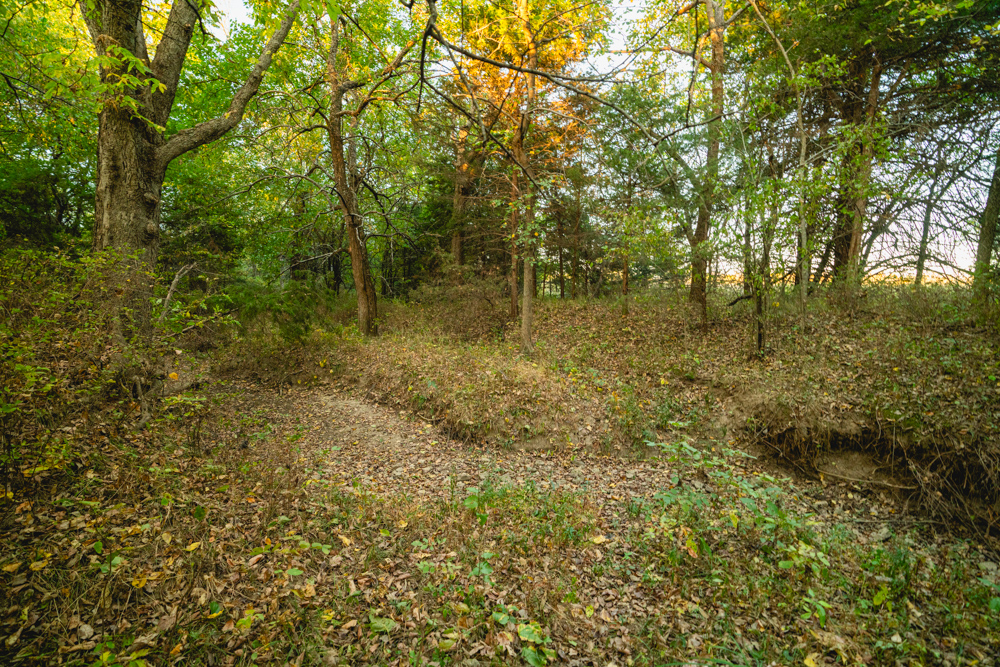 Multi-Use Land with Great Recreational Opportunities