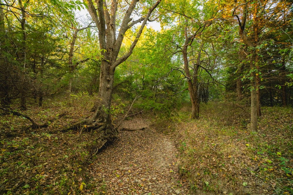 Multi-Use Land with Great Recreational Opportunities