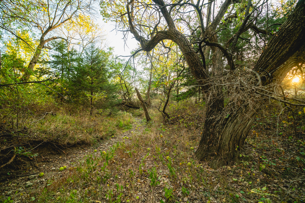 Multi-Use Land with Great Recreational Opportunities