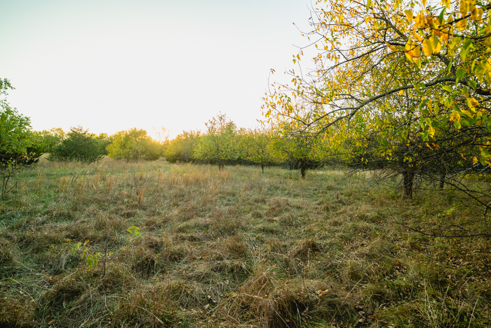 Multi-Use Land with Great Recreational Opportunities