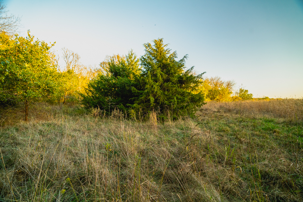 Multi-Use Land with Great Recreational Opportunities