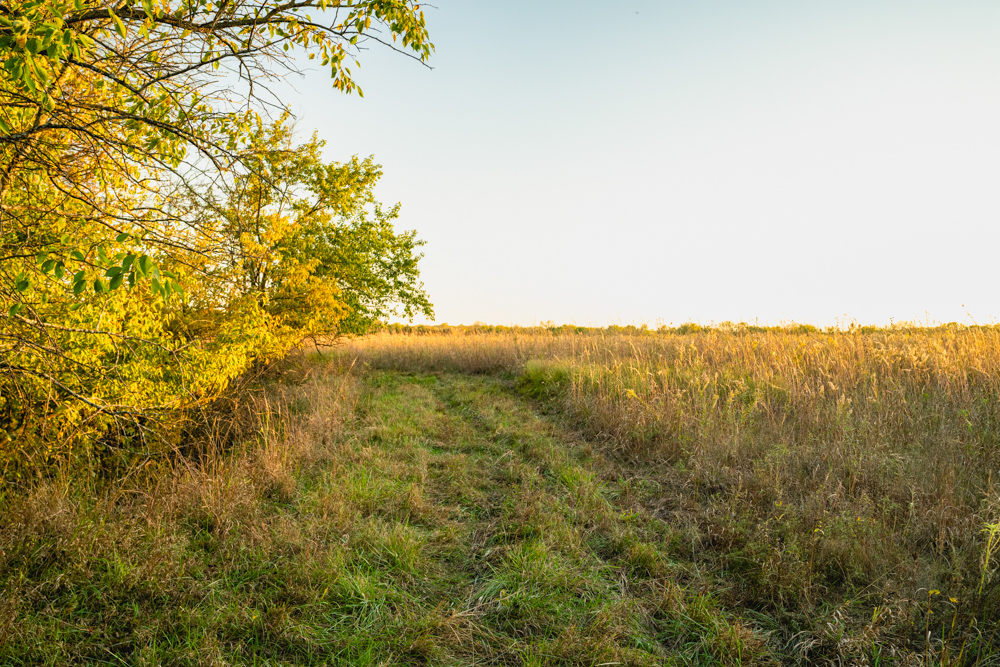 Multi-Use Land with Great Recreational Opportunities