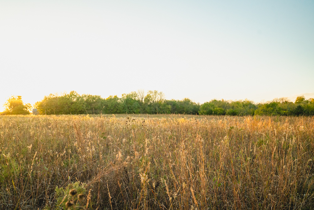 Multi-Use Land with Great Recreational Opportunities