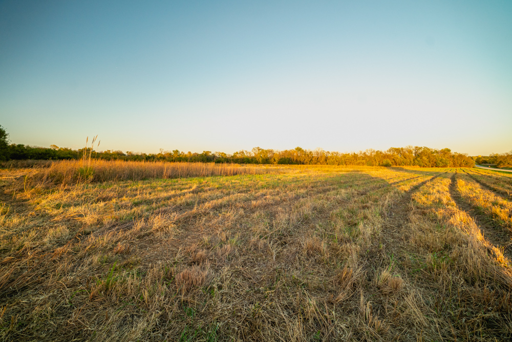 Multi-Use Land with Great Recreational Opportunities