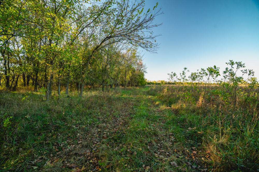 Multi-Use Land with Great Recreational Opportunities